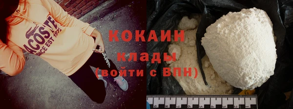 стаф Зерноград