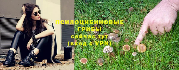 стаф Зерноград