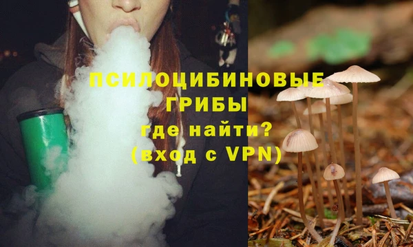 бошки Зеленокумск