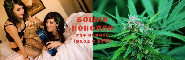 стаф Зерноград