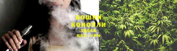 стаф Зерноград