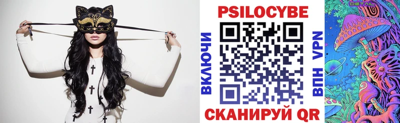 Псилоцибиновые грибы MAGIC MUSHROOMS  Купить закладки  Заводоуковск 